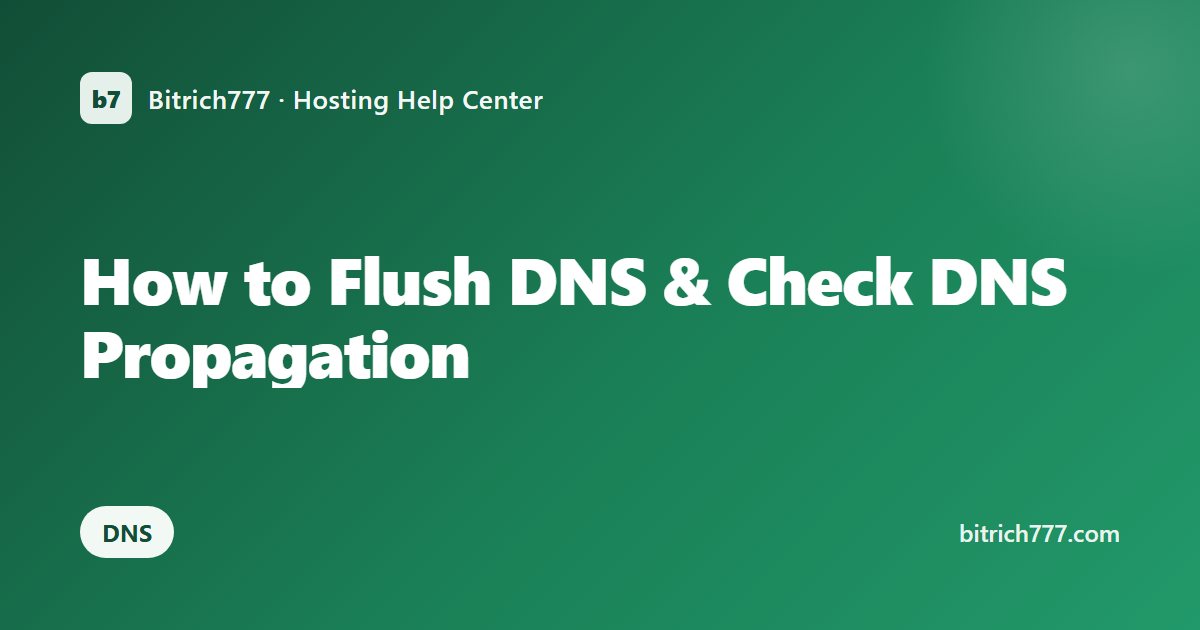 How to Flush DNS & Check DNS Propagation